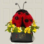 Floral Floof - Ladybug